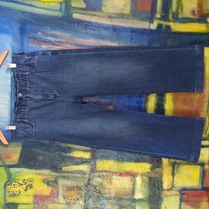 J CREW High Rise Wide Leg Ankle Jeans Size 29 Medium Dark Wash